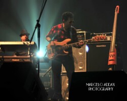 Machi Romanelli (2014)